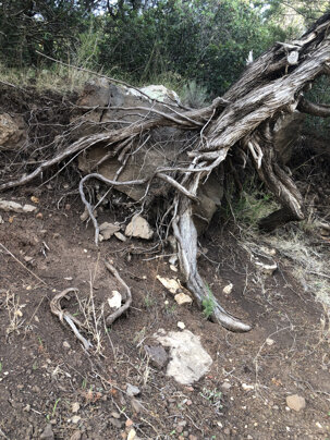 1ba0f04f6c38c2dc501bdf1211f25d18be0acc10 1ba0f04f6c38c2dc501bdf1211f25d18be0acc10