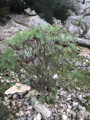 1ce7f26fc581908bdd6aa7189a6090d9555e6a2a 1ce7f26fc581908bdd6aa7189a6090d9555e6a2a