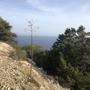 1e38ee2faf091bfce3e6cb9d9da8f365c20ba94e 1e38ee2faf091bfce3e6cb9d9da8f365c20ba94e