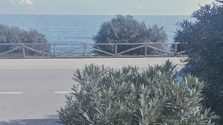 21cd49c7398d676cd65068024537a454a4e7d0f1