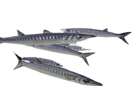 2c5220ee88a0a033b4829314ac32da6eb8735e71 2c5220ee88a0a033b4829314ac32da6eb8735e71