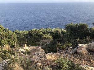 2fd6b9817d2f218942a28865c9b8ccd935d7b202 2fd6b9817d2f218942a28865c9b8ccd935d7b202