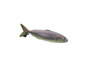 3776e335d6ab750c9975aa803c7f0922ae3921e9 3776e335d6ab750c9975aa803c7f0922ae3921e9