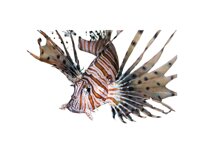 466d49cbcf3a2fd146e3580b4cea69ae9e06c573