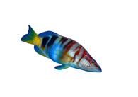 54a6f42d4a35b468fdd708b34563a88230bf5487 54a6f42d4a35b468fdd708b34563a88230bf5487