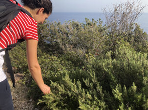 59e94964c7a19e8bb37fd38e91a9fac863acee64 59e94964c7a19e8bb37fd38e91a9fac863acee64