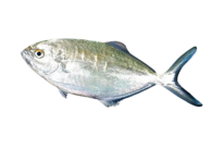 5a73b26003290d61640e753dfe94fd543c549fec 5a73b26003290d61640e753dfe94fd543c549fec