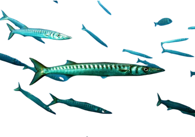 6303b923a52bc04954115dd5bd42cda112a78baf 6303b923a52bc04954115dd5bd42cda112a78baf