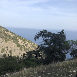 6490af663733a3c67d22aca3a5a750eaeaff4959 6490af663733a3c67d22aca3a5a750eaeaff4959