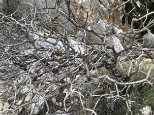 65ee1fc0b8a592fbb0d38ea31651a9b575d9c4b4 65ee1fc0b8a592fbb0d38ea31651a9b575d9c4b4