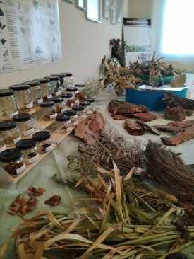 6744759bd47712b9aa199d916e75b6ae113a8943 6744759bd47712b9aa199d916e75b6ae113a8943