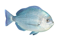 755cefbf94bd659cb1bf6f81d15e50abea9e7236 755cefbf94bd659cb1bf6f81d15e50abea9e7236