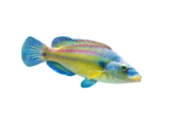 79d306d9bae93a0c9ce74938d3c1b7b498f94bc2 79d306d9bae93a0c9ce74938d3c1b7b498f94bc2