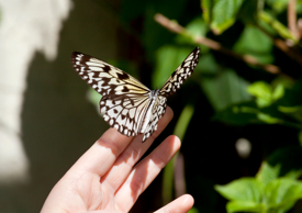 79fd06275c2d48f086cb057cd1defee38fe20e1c 79fd06275c2d48f086cb057cd1defee38fe20e1c