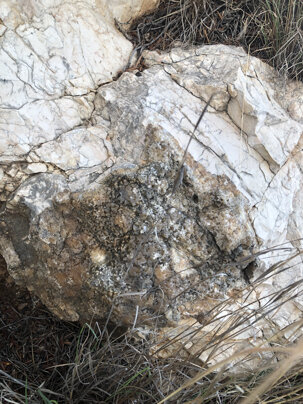 7d2b48a8adfbda8b4587ff8525a2b3524002feaf 7d2b48a8adfbda8b4587ff8525a2b3524002feaf