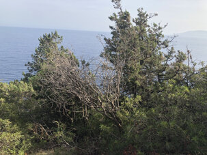 7ddd55b38f84d4fc9e84646b5f9c1002c93c6b4c 7ddd55b38f84d4fc9e84646b5f9c1002c93c6b4c