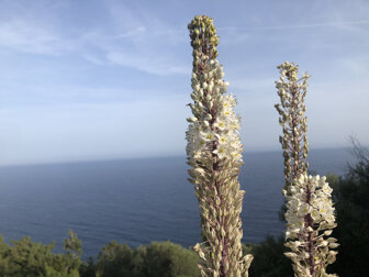 7eea156e5287d3cafc13cbd7dc8a10004feec49c 7eea156e5287d3cafc13cbd7dc8a10004feec49c