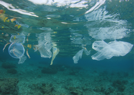 815ffeaa55923efd163d055ead6883c6e140b23d 815ffeaa55923efd163d055ead6883c6e140b23d