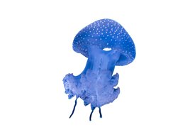 905b4aa64d39d60eaac938cd74d2edc1b6224f6d