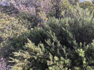 9e0b199df33e1d8128ea996cbe53f5fd7346fdbd 9e0b199df33e1d8128ea996cbe53f5fd7346fdbd