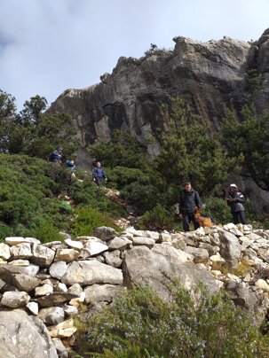 9e7b673d774810ce66530a38e786d18856d96f97 9e7b673d774810ce66530a38e786d18856d96f97