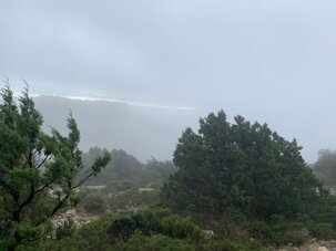 a4ae44c9167514a3ee274af0a8043f755db9ccf8 a4ae44c9167514a3ee274af0a8043f755db9ccf8