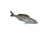 ac6cb951722f969629f3313719d12e27ea8ed09e ac6cb951722f969629f3313719d12e27ea8ed09e