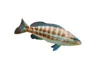 b3959ac775b3f24a2c8fb8f8c1c2631ae5f68bd4 b3959ac775b3f24a2c8fb8f8c1c2631ae5f68bd4