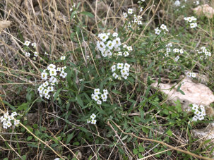 bc8d75c94571a5a0750c7b1ef8fb678d614cf737 bc8d75c94571a5a0750c7b1ef8fb678d614cf737