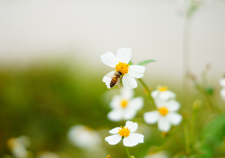 cb60dfd5a6665ee35f9689ec5cbdd4074072ea7f