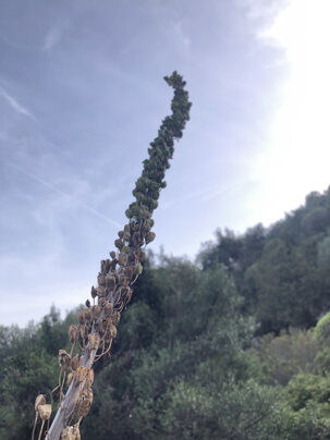 cff46c7ee22b3641368cdbb26ad3e56be8948fe0 cff46c7ee22b3641368cdbb26ad3e56be8948fe0