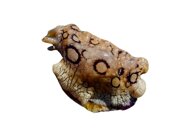 d2be0214fb084dd8da8efbe1d4770b299ffb4f6c