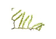 d40b1c6c2786138c1ee908fe26a99caf52be8fe6