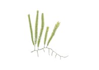 dcc284d700361b9a82f1d988805f4411fe58b780