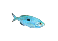 e34df8288efc8fedd2687d2d1c8bf2090c2f090a e34df8288efc8fedd2687d2d1c8bf2090c2f090a