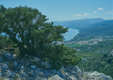 e8c5f9d8d55a5806ec769eac9e715486d20e03c5 e8c5f9d8d55a5806ec769eac9e715486d20e03c5