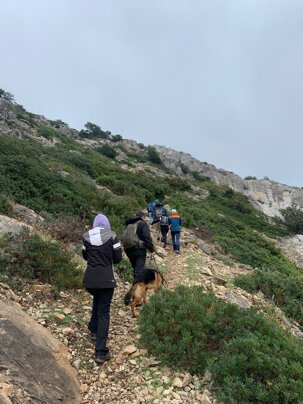 ed80767630ef12d0e1fa48d910d60484b6dc449d ed80767630ef12d0e1fa48d910d60484b6dc449d