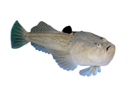 ee8da8cc14738cb9a023f9f6daa1de854a8645bf ee8da8cc14738cb9a023f9f6daa1de854a8645bf