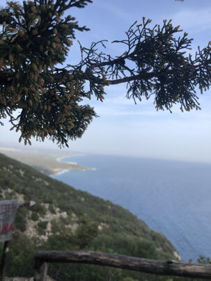 f01506bb9f40dd52cb6d28f359350d6c1b0aa5d8 f01506bb9f40dd52cb6d28f359350d6c1b0aa5d8