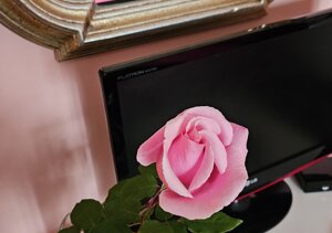 5d57438bb357db7b3881d2bbf48c8835efa3a9ab 5d57438bb357db7b3881d2bbf48c8835efa3a9ab