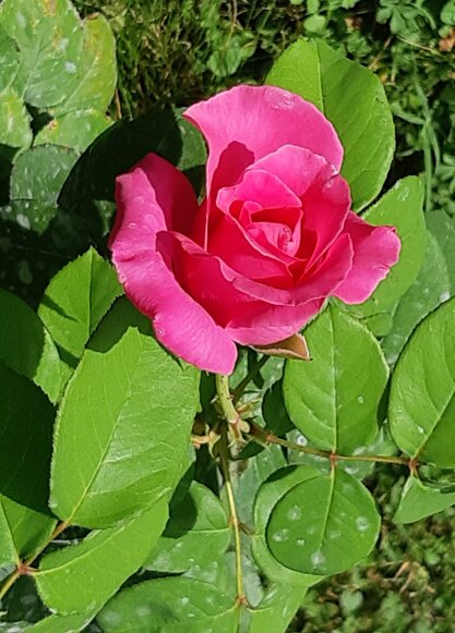 20200911_154254.jpeg 20200911_154254.jpeg