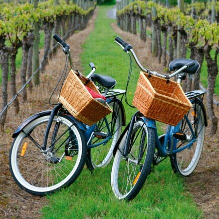 d3509038b73832858fabf2fc6572145c3526915a