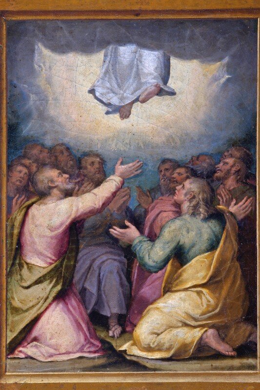 14c29009-3296-4344-a220-097dd4a21c0f.jpg 14c29009-3296-4344-a220-097dd4a21c0f.jpg