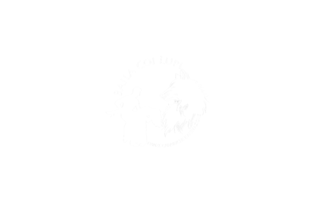 baila-coi-lupi-white-lines (1)