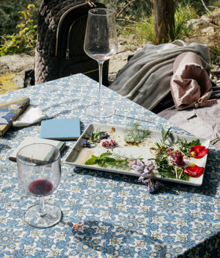 _dsc5574.jpeg _dsc5574.jpeg