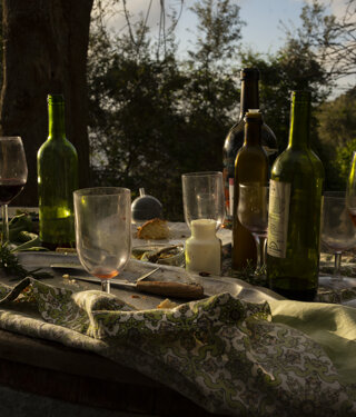 _dsc5382.jpeg _dsc5382.jpeg