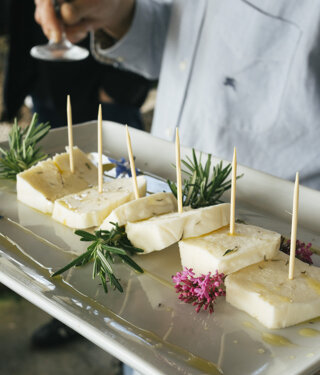 _dsc5446.jpeg _dsc5446.jpeg