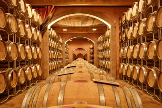 terre-de-la-custodia-enoturistica