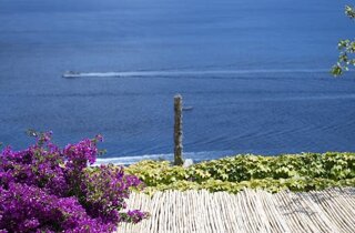 img_1130.jpeg