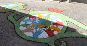 img_6035.jpeg